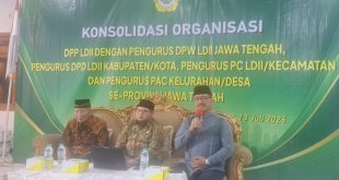 konsolidasi ldii