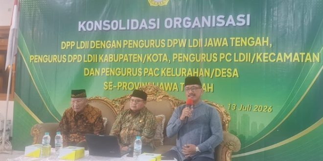 konsolidasi ldii